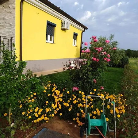 Ferienhaus Mit Terrasse, Grill Und Garten