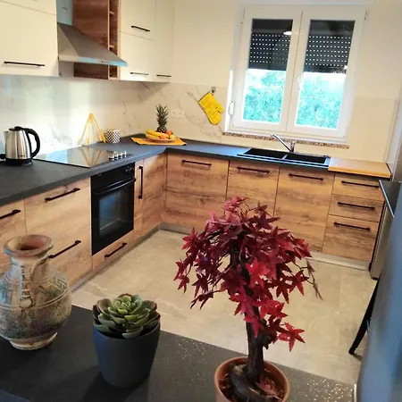 Ferienhaus Mit Terrasse, Grill Und Garten Petrovija